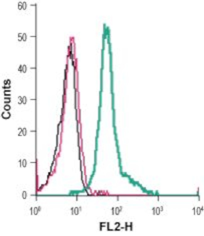 KV1.3 (KCNA3) (extracellular) Antibody in Flow Cytometry (Flow)