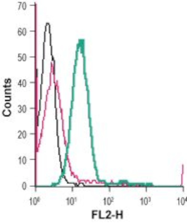 KV1.3 (KCNA3) (extracellular) Antibody in Flow Cytometry (Flow)