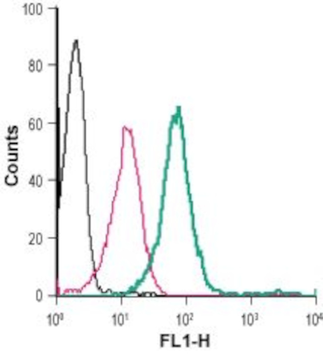 Kir2.1/KCNJ2 (extracellular) Antibody in Flow Cytometry (Flow)