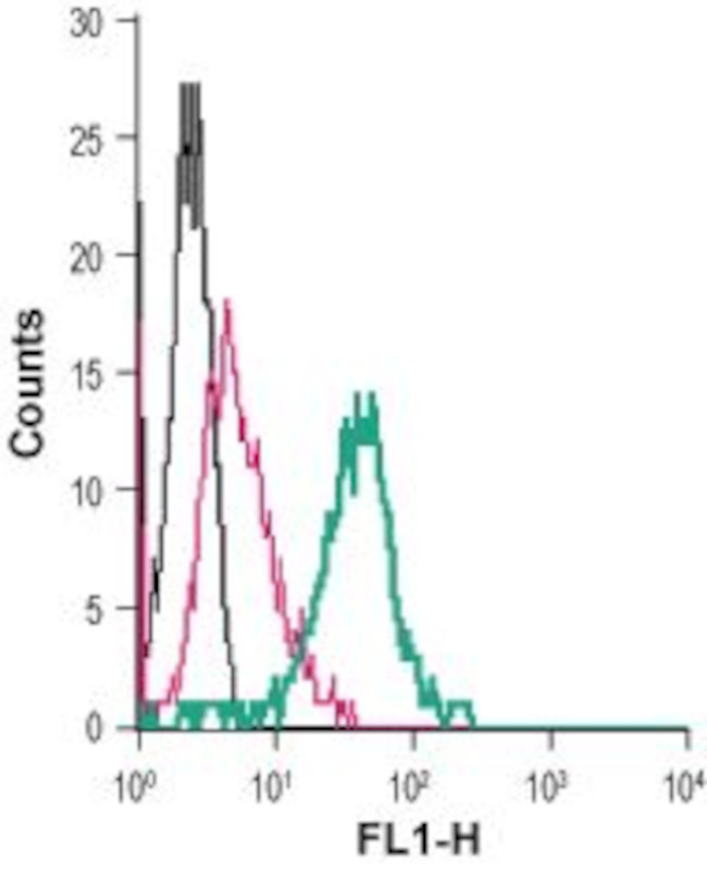 Kir2.1/KCNJ2 (extracellular) Antibody in Flow Cytometry (Flow)