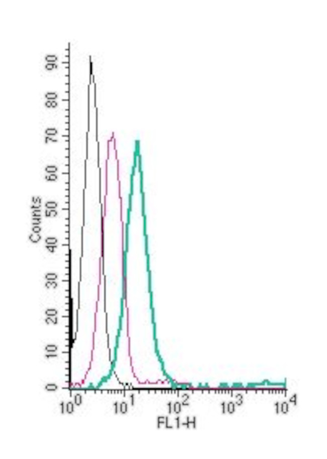 KCNQ1 (extracellular) Antibody in Flow Cytometry (Flow)