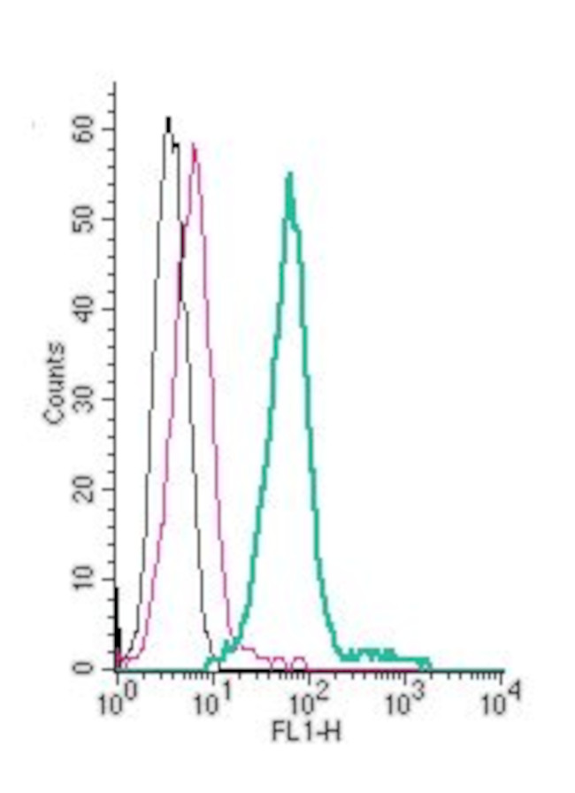 KCNQ1 (extracellular) Antibody in Flow Cytometry (Flow)