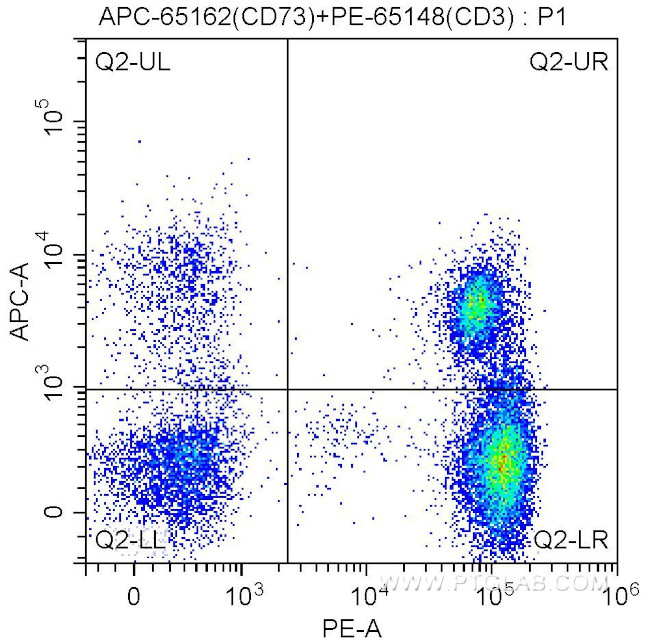 CD73 Antibody in Flow Cytometry (Flow)