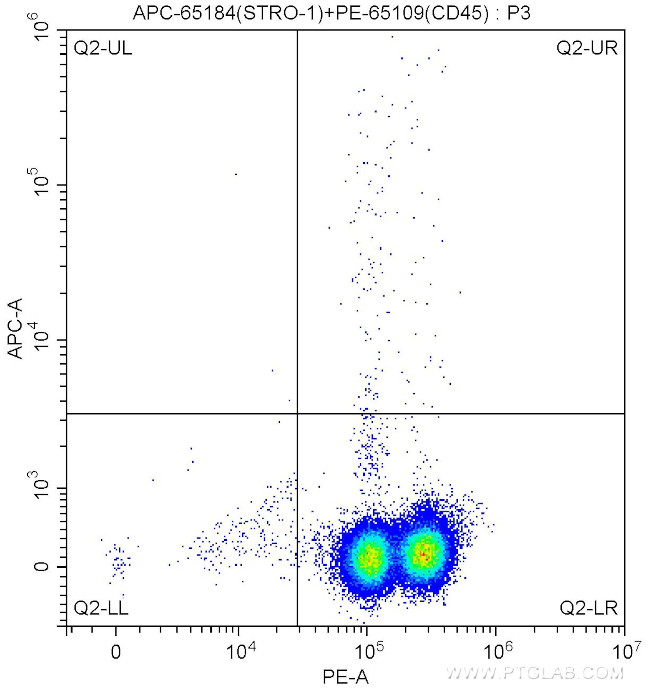 STRO-1 Antibody in Flow Cytometry (Flow)