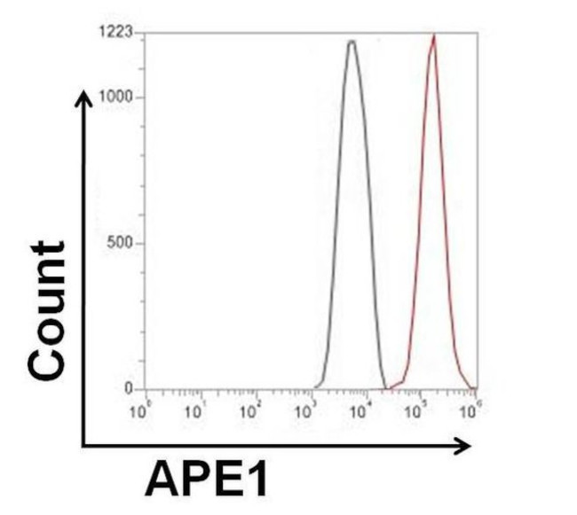 APE1 Antibody in Flow Cytometry (Flow)