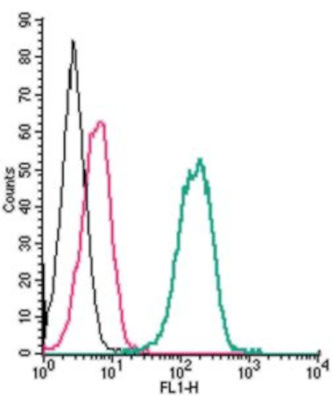 P2X7 Receptor (extracellular) Antibody in Flow Cytometry (Flow)