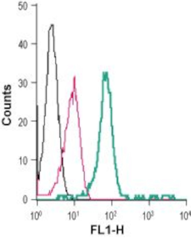 P2X7 Receptor (extracellular) Antibody in Flow Cytometry (Flow)