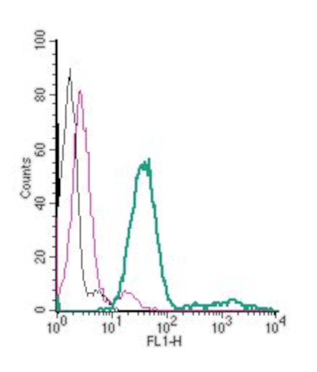 P2X7 Receptor (extracellular) Antibody in Flow Cytometry (Flow)