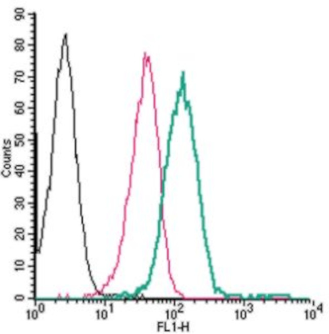 P2Y14 (extracellular) Antibody in Flow Cytometry (Flow)