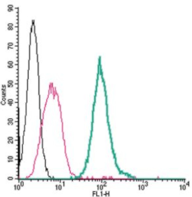 P2Y14 (extracellular) Antibody in Flow Cytometry (Flow)