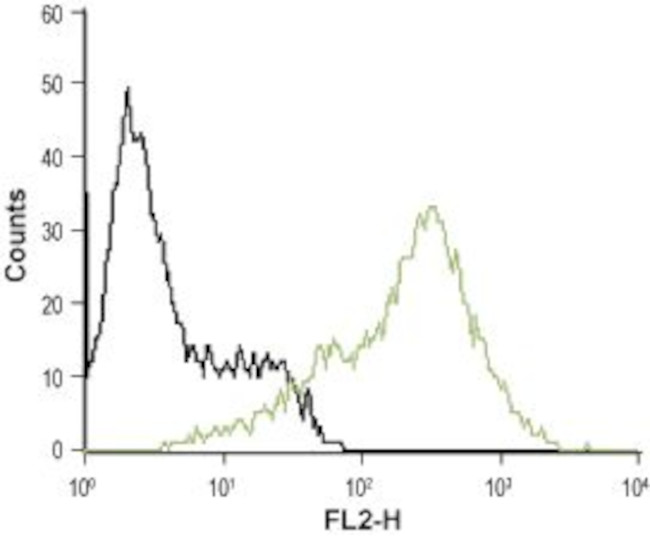 P2Y12 Receptor (extracellular) Antibody in Flow Cytometry (Flow)