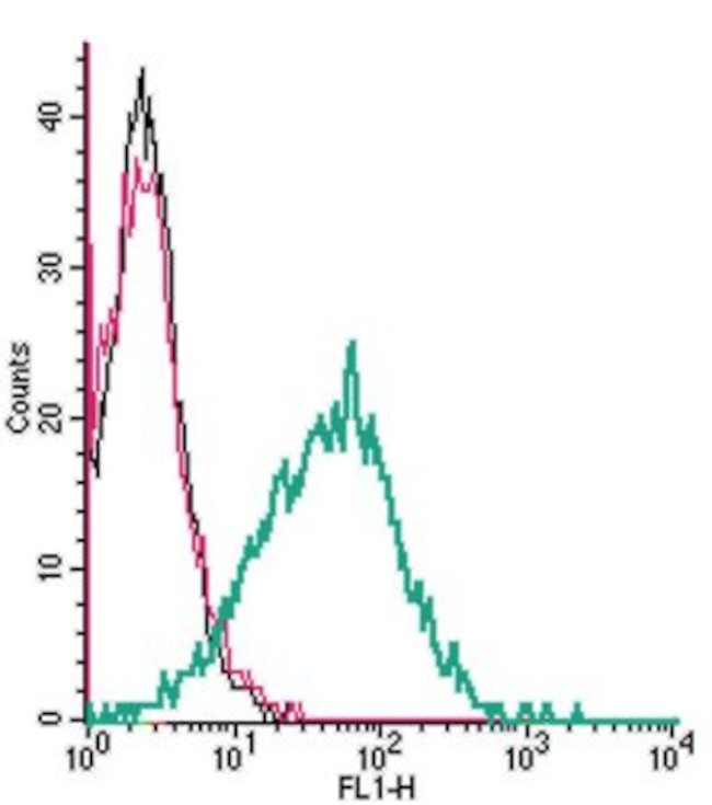 P2X1 Receptor (extracellular) Antibody in Flow Cytometry (Flow)