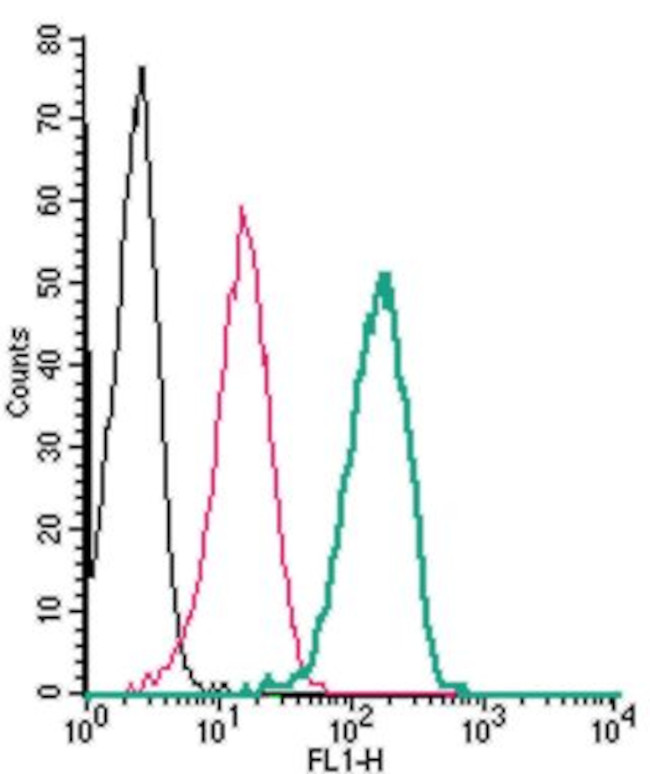 P2X4 Receptor (extracellular) Antibody in Flow Cytometry (Flow)