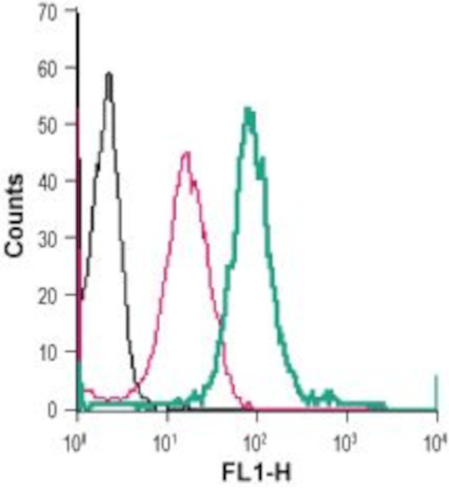 P2X4 Receptor (extracellular) Antibody in Flow Cytometry (Flow)