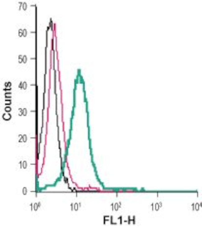 P2X4 Receptor (extracellular) Antibody in Flow Cytometry (Flow)