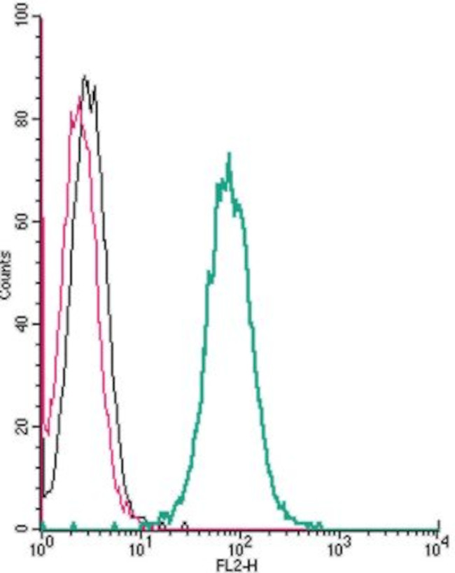 P2X4 Receptor (extracellular) Antibody in Flow Cytometry (Flow)