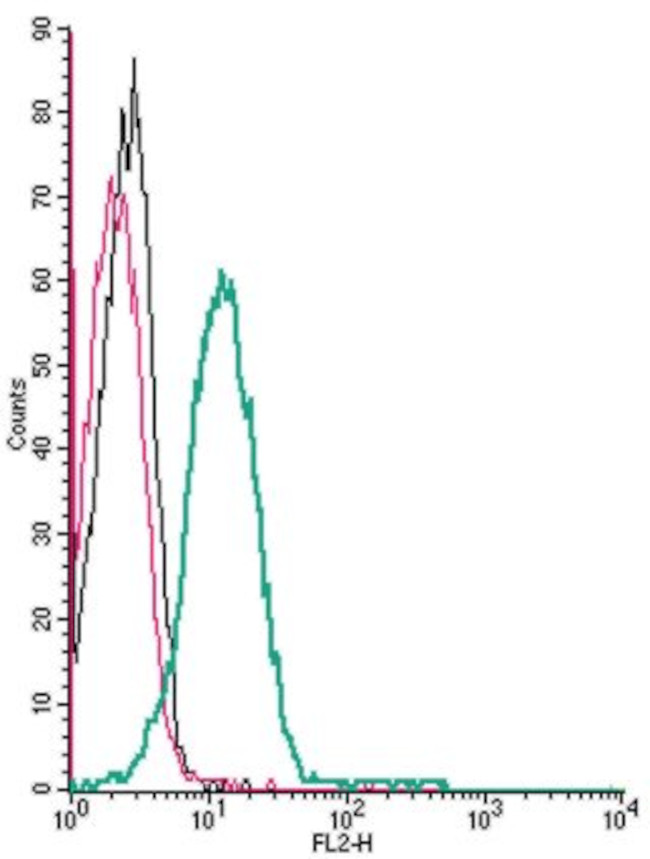 P2X4 Receptor (extracellular) Antibody in Flow Cytometry (Flow)