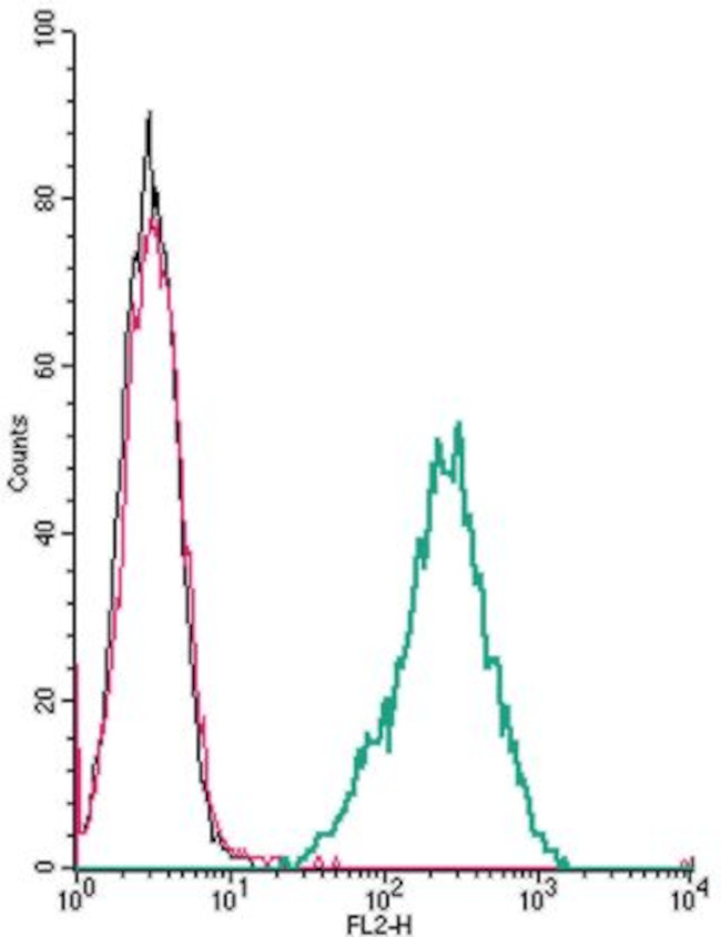 P2X4 Receptor (extracellular) Antibody in Flow Cytometry (Flow)