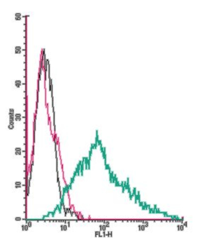 P2X3 Receptor (extracellular) Antibody in Flow Cytometry (Flow)