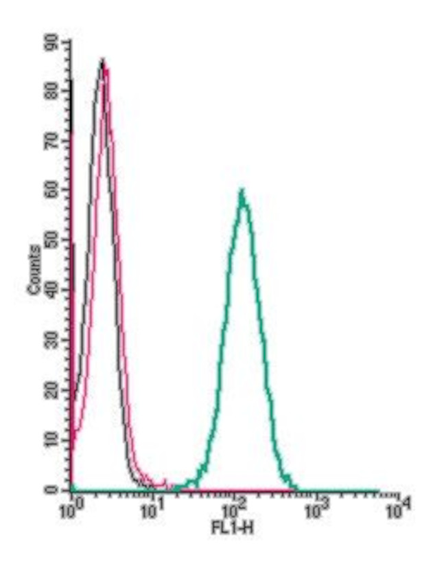 Prostaglandin E Receptor EP2/PTGER2 (extracellular) Antibody in Flow Cytometry (Flow)