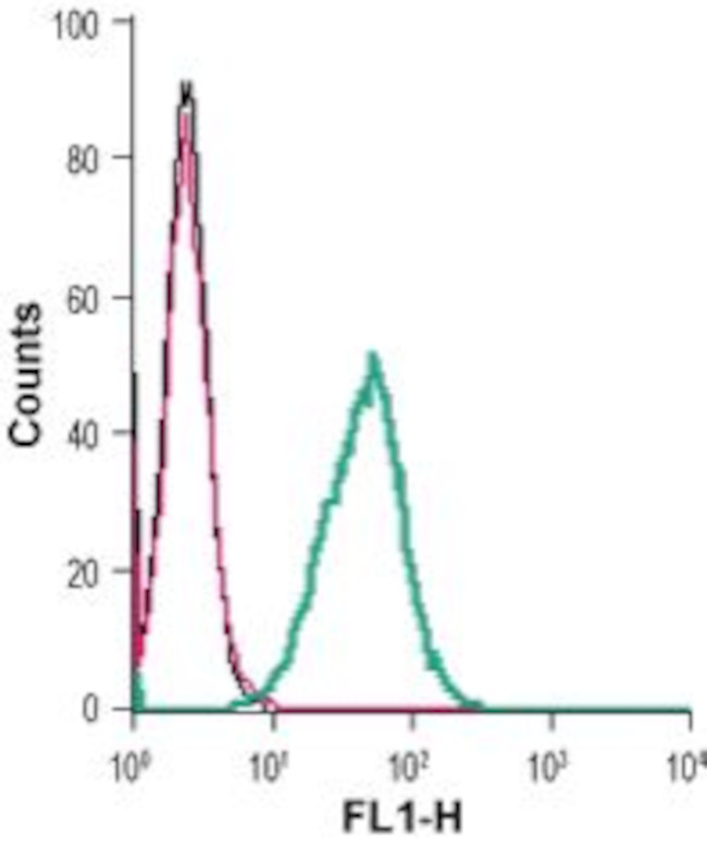 P2Y6 Receptor (extracellular) Antibody in Flow Cytometry (Flow)