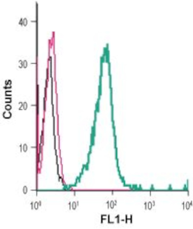 P2Y6 Receptor (extracellular) Antibody in Flow Cytometry (Flow)