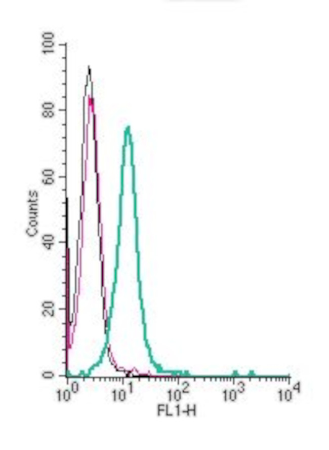 PepT2/SLC15A2 (extracellular) Antibody in Flow Cytometry (Flow)