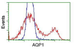 AQP1 Antibody in Flow Cytometry (Flow)