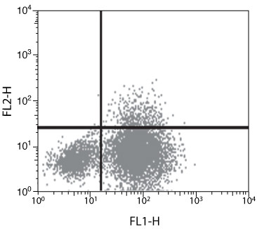 IL-10 Antibody in Flow Cytometry (Flow)