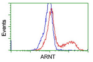 ARNT Antibody in Flow Cytometry (Flow)