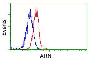 ARNT Antibody in Flow Cytometry (Flow)