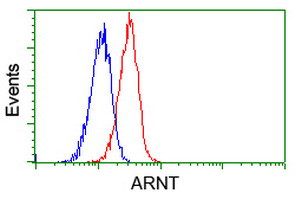 ARNT Antibody in Flow Cytometry (Flow)