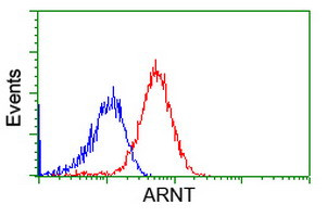 ARNT Antibody in Flow Cytometry (Flow)
