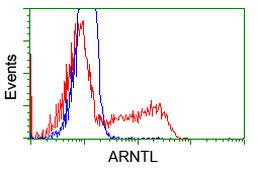 ARNTL Antibody in Flow Cytometry (Flow)