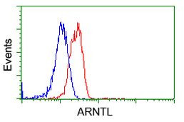 ARNTL Antibody in Flow Cytometry (Flow)