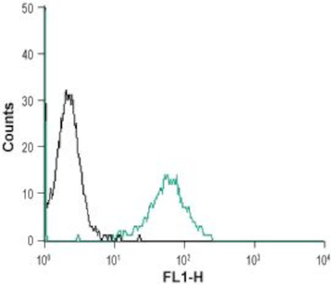 RAMP2 (extracellular) Antibody in Flow Cytometry (Flow)