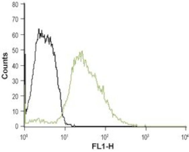 5HT3B Receptor (HTR3B) (extracellular) Antibody in Flow Cytometry (Flow)