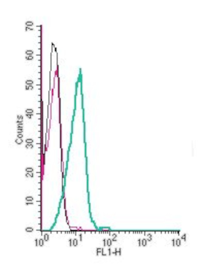 5HT2B Receptor (HTR2B) (extracellular) Antibody in Flow Cytometry (Flow)