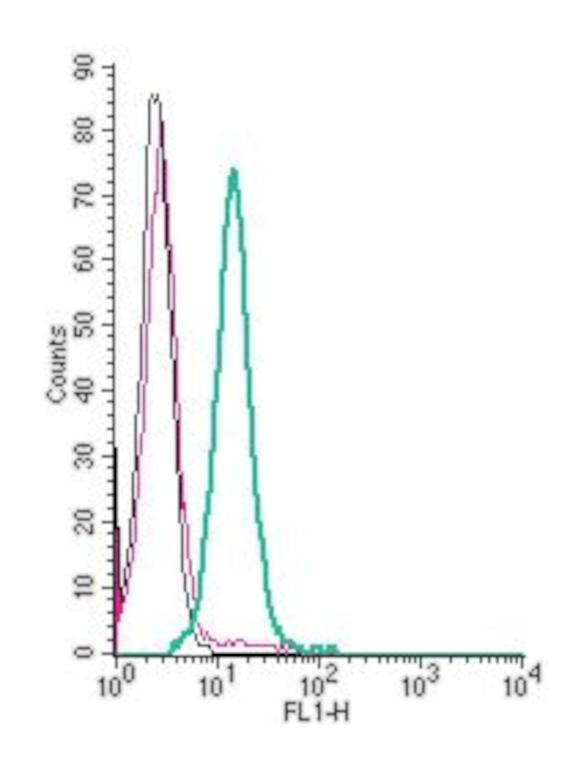 5HT4 Receptor (HTR4) (extracellular) Antibody in Flow Cytometry (Flow)