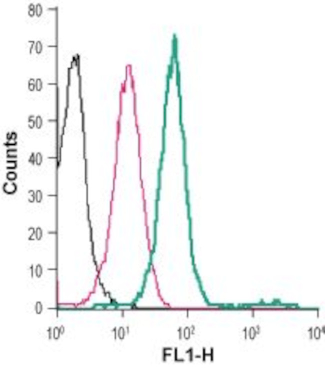 5HT4 Receptor (HTR4) (extracellular) Antibody in Flow Cytometry (Flow)