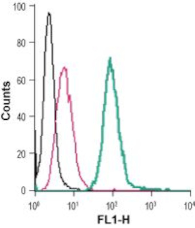 5HT4 Receptor (HTR4) (extracellular) Antibody in Flow Cytometry (Flow)