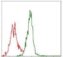 ASS1 Antibody in Flow Cytometry (Flow)