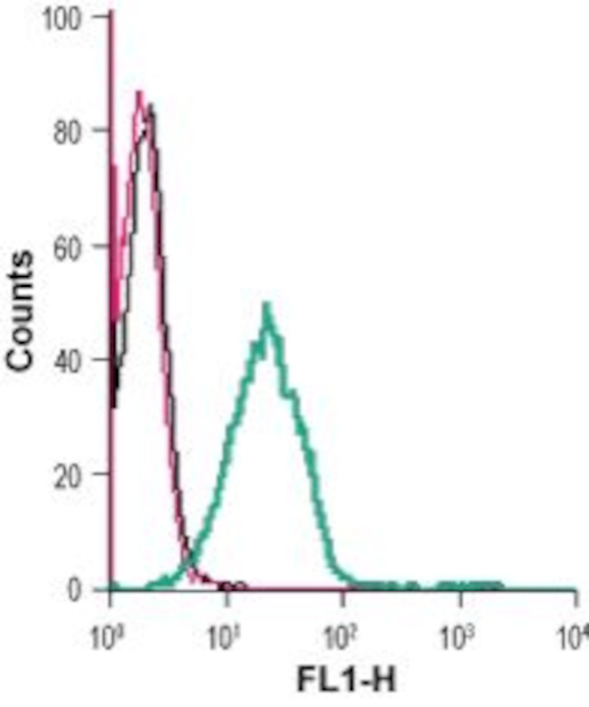 SVCT2/SLC23A2 (extracellular) Antibody in Flow Cytometry (Flow)