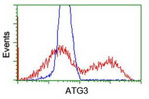 ATG3 Antibody in Flow Cytometry (Flow)