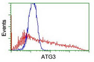 ATG3 Antibody in Flow Cytometry (Flow)