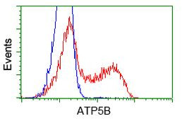 ATP5B Antibody in Flow Cytometry (Flow)