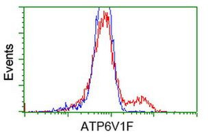 ATP6V1F Antibody in Flow Cytometry (Flow)