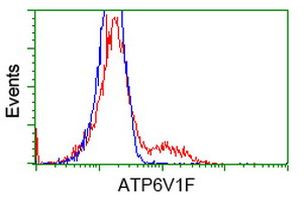 ATP6V1F Antibody in Flow Cytometry (Flow)