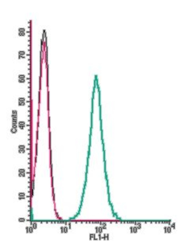 Neurokinin 1 Receptor (NK1R) (extracellular) Antibody in Flow Cytometry (Flow)