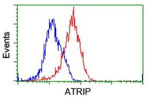 ATRIP Antibody in Flow Cytometry (Flow)